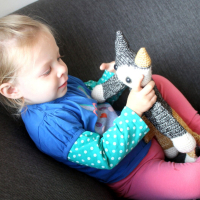 Poes Lappenpop Pdf Patroon